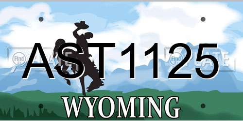 AST1125 Wyoming License Plate