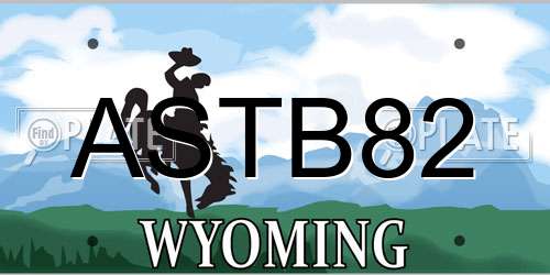 ASTB82 Wyoming License Plate