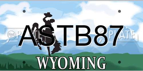 ASTB87 Wyoming License Plate