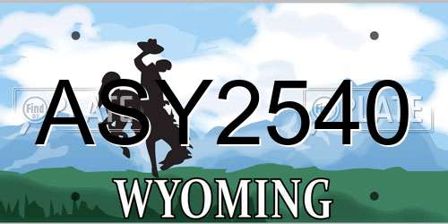 ASY2540 Wyoming License Plate