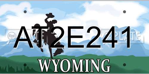 AT2E241 Wyoming License Plate