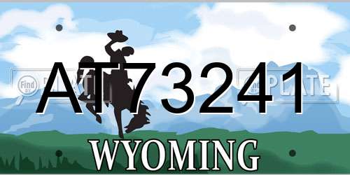 AT73241 Wyoming License Plate