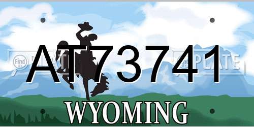 AT73741 Wyoming License Plate