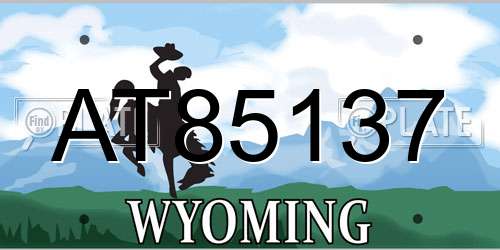 AT85137 Wyoming License Plate