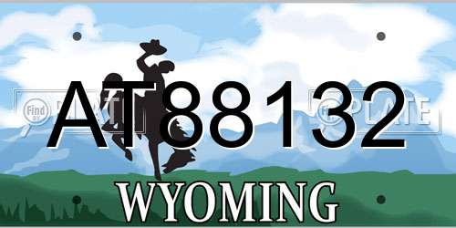 AT88132 Wyoming License Plate
