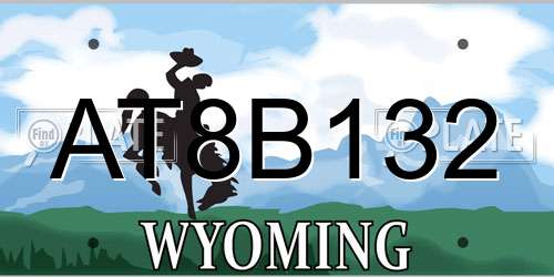 AT8B132 Wyoming License Plate