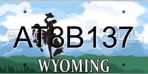 AT8B137 Wyoming License Plate