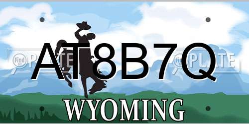 AT8B7Q Wyoming License Plate