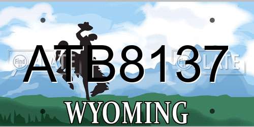 ATB8137 Wyoming License Plate