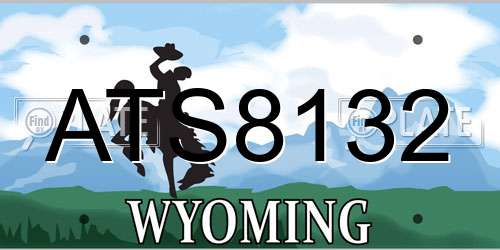 ATS8132 Wyoming License Plate