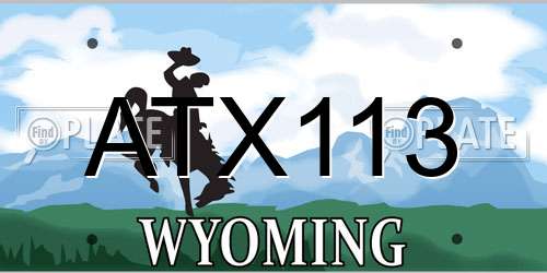 ATX113 Wyoming License Plate