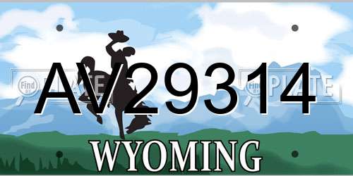AV29314 Wyoming License Plate