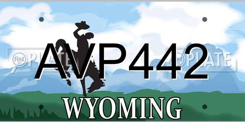AVP442 Wyoming License Plate