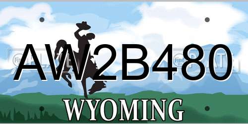 AW2B480 Wyoming License Plate