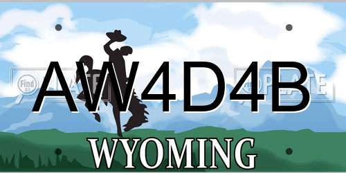 AW4D4B Wyoming License Plate