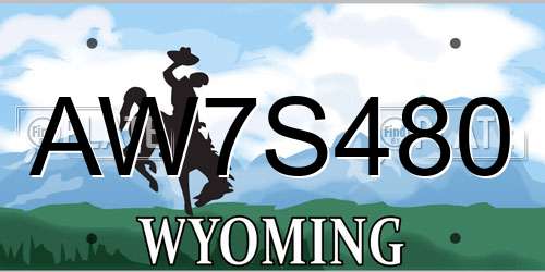 AW7S480 Wyoming License Plate