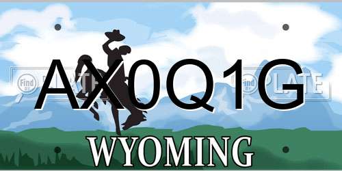 AX0Q1G Wyoming License Plate