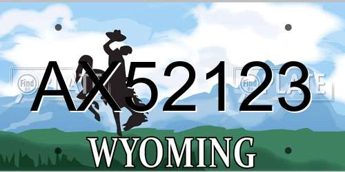 AX52123 Wyoming License Plate
