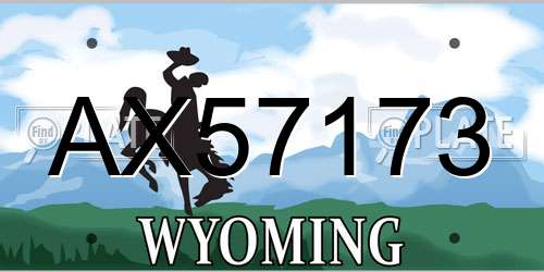 AX57173 Wyoming License Plate