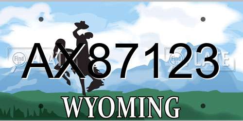 AX87123 Wyoming License Plate