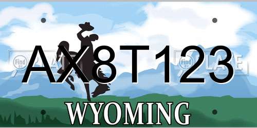 AX8T123 Wyoming License Plate