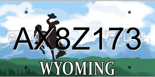 AX8Z173 Wyoming License Plate