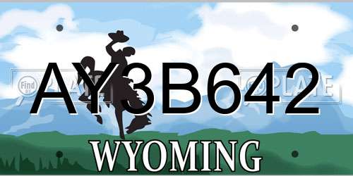 AY3B642 Wyoming License Plate