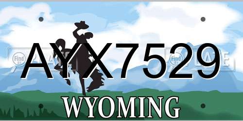 AYX7529 Wyoming License Plate