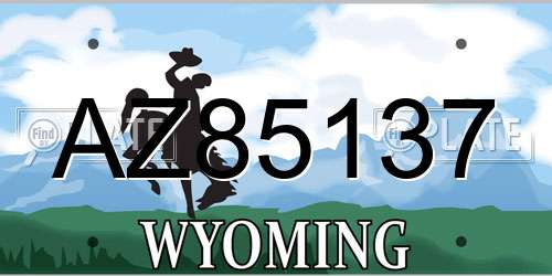 AZ85137 Wyoming License Plate