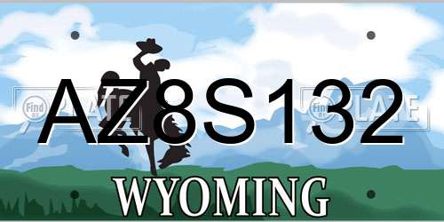 AZ8S132 Wyoming License Plate