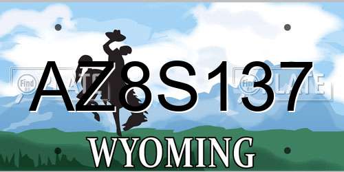 AZ8S137 Wyoming License Plate