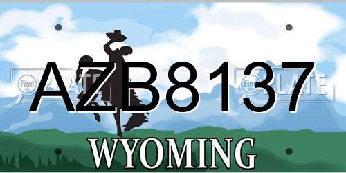 AZB8137 Wyoming License Plate