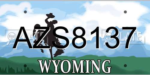AZS8137 Wyoming License Plate