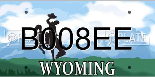 B008EE Wyoming License Plate