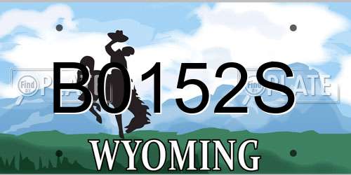 B0152S Wyoming License Plate