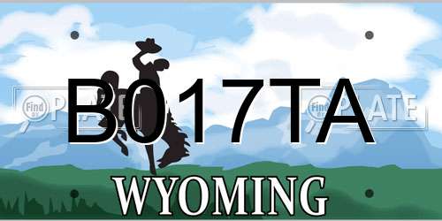 B017TA Wyoming License Plate