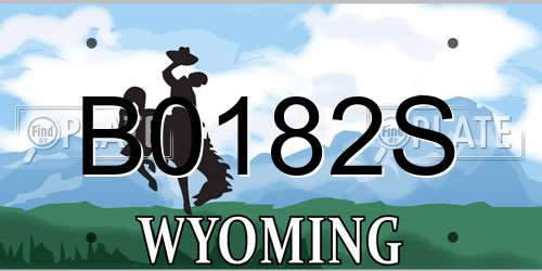 B0182S Wyoming License Plate