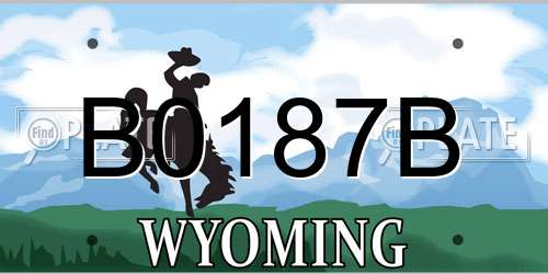 B0187B Wyoming License Plate