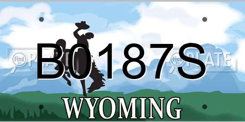 B0187S Wyoming License Plate