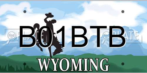 B01BTB Wyoming License Plate
