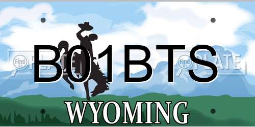 B01BTS Wyoming License Plate