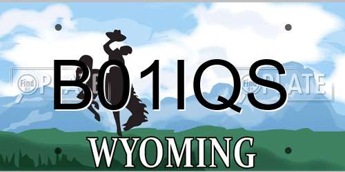 B01IQS Wyoming License Plate