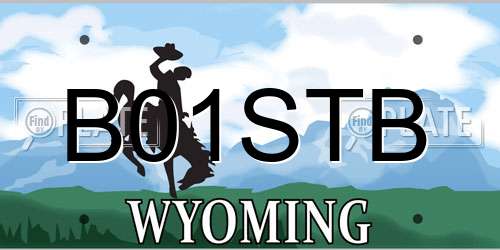 B01STB Wyoming License Plate