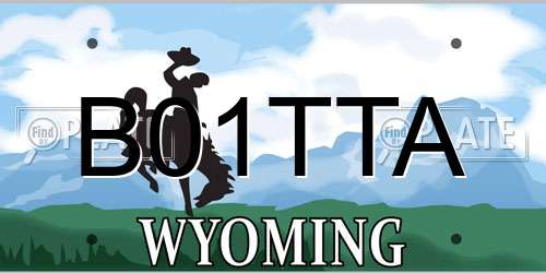 B01TTA Wyoming License Plate