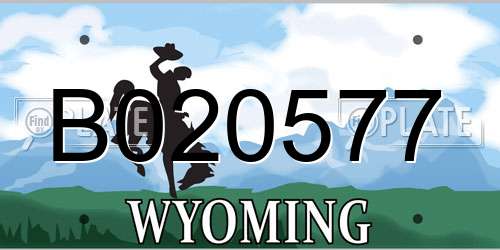 B020577 Wyoming License Plate