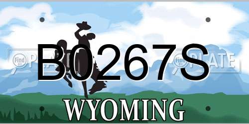 B0267S Wyoming License Plate