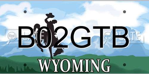B02GTB Wyoming License Plate