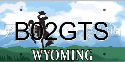 B02GTS Wyoming License Plate