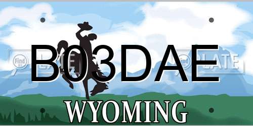 B03DAE Wyoming License Plate