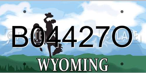 B04427O Wyoming License Plate